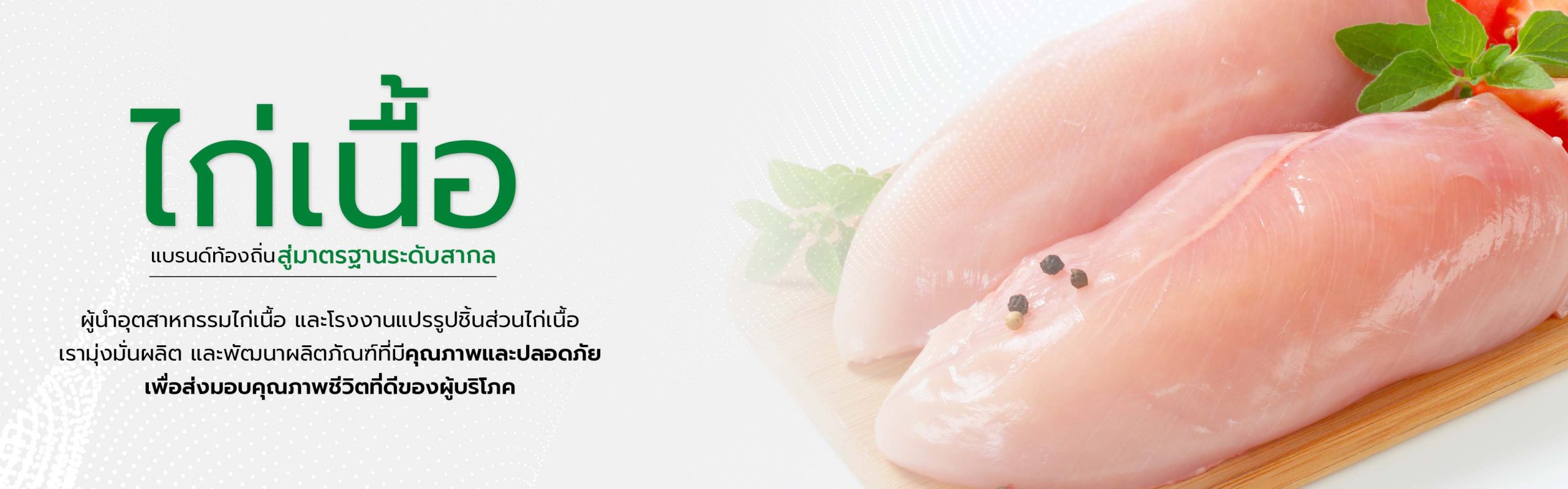 (1-5) ออกแบบภาพกราฟฟิกเว็บไซต์ (หน้าแรก) - PPF