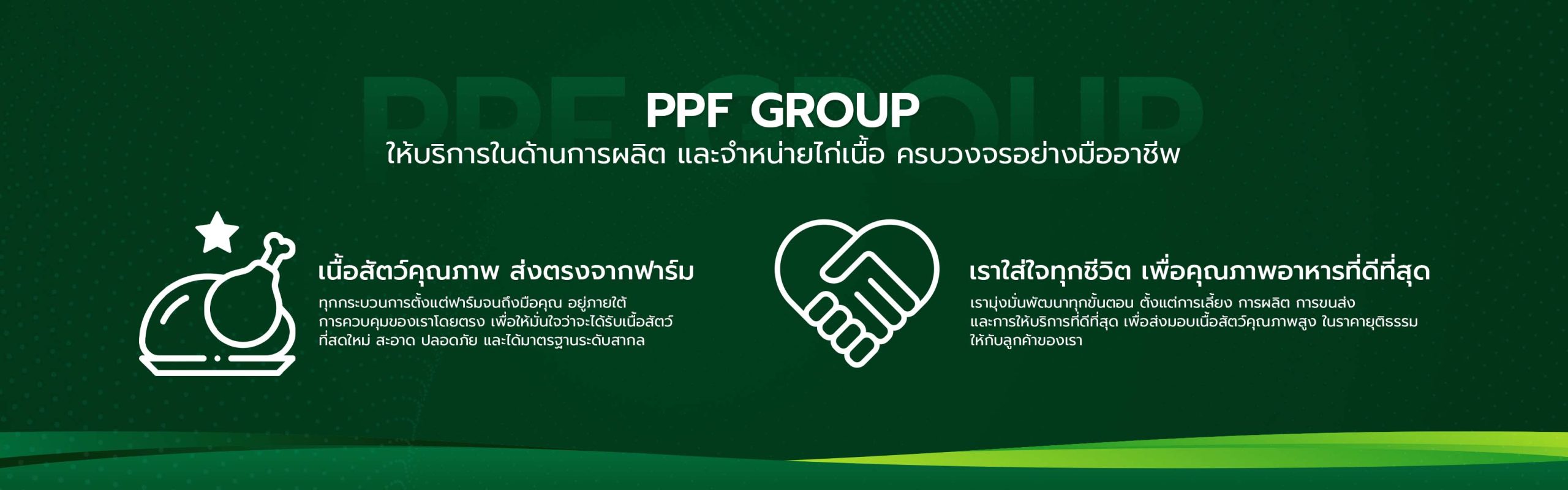(2-5) ออกแบบภาพกราฟฟิกเว็บไซต์ (หน้าแรก) - PPF