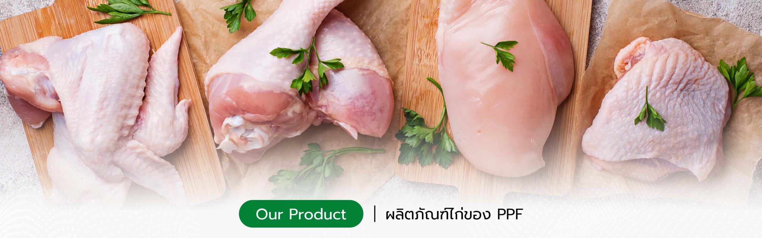 (4-5) ออกแบบภาพกราฟฟิกเว็บไซต์ (หน้าแรก) - PPF