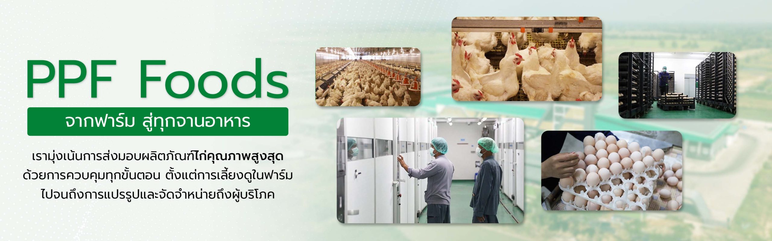 (5-5) ออกแบบภาพกราฟฟิกเว็บไซต์ (หน้าแรก) - PPF